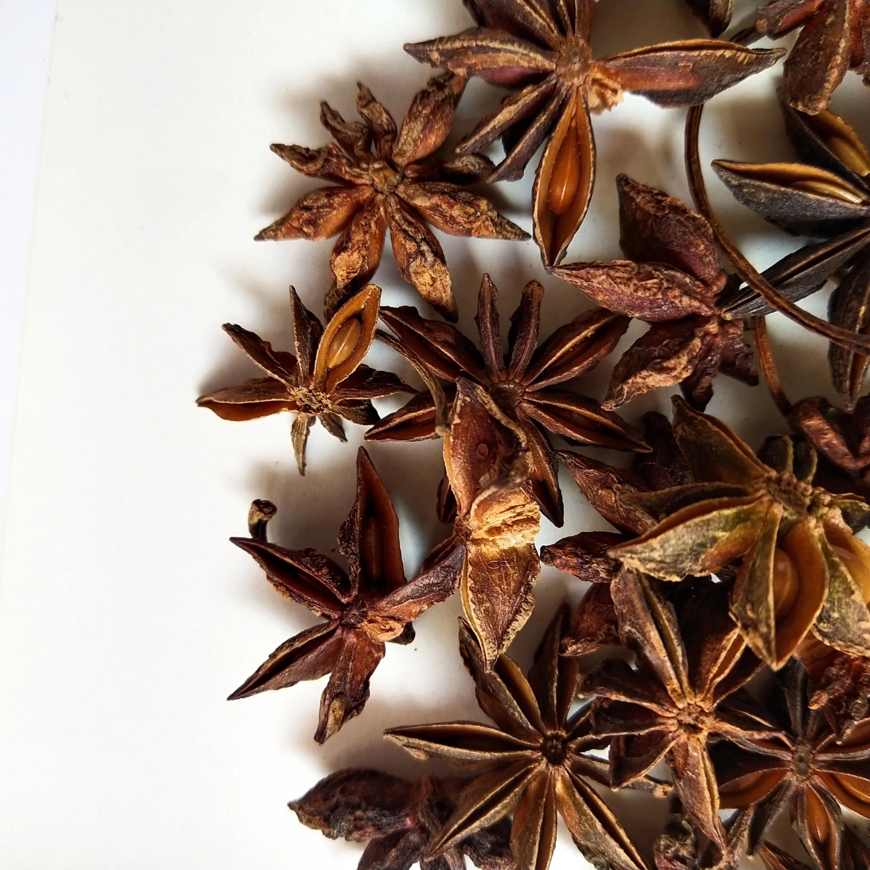 
ANISEED Star Anise seed fruits unselected Fructus Anisi Stellati 