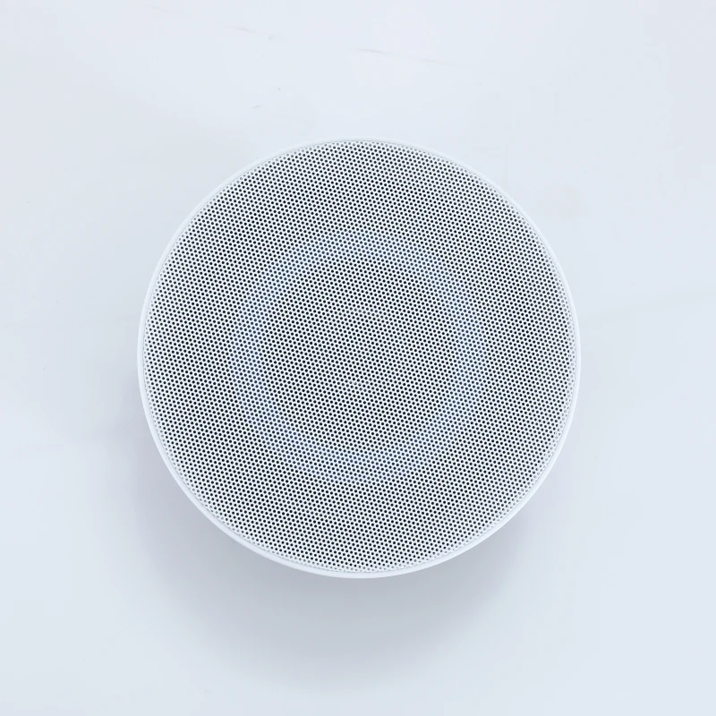 30W  5 inch Coaxial Public Address PA System Wall Speaker Impedance Ceiling Speaker