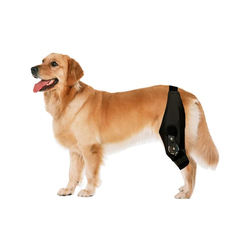 Dog Knee Brace with Adjustable ROM Hinge Stabilizer  Orthopedic Dog leg support