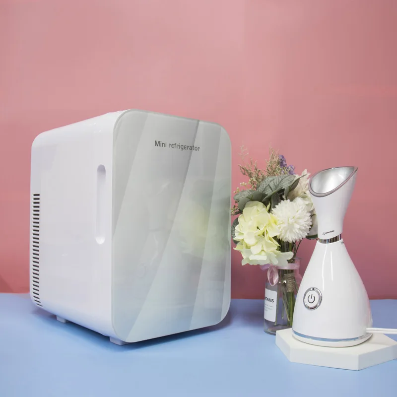
10 Liter 12 Can Mini Fridge Bedroom Skincare Cosmetics Cooling Fridge AC/DC for Office and Car Cooler Warmer Mini Refrigerator 