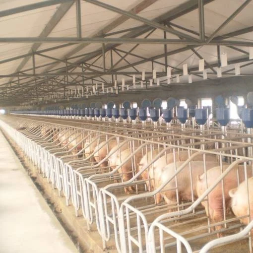 steel structure pig shed house