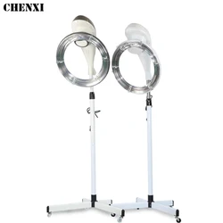 Salon hairdressing digital hair dryer electric thermal hair dryer dolphin accelerator