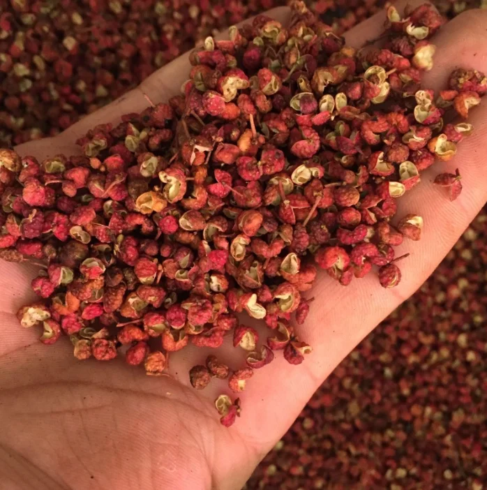 wholesale Red Peppercorn  Zanthoxylum bungeanum Maxim Traditional Chinese Szechuan Pepper For Spices And Seasoning