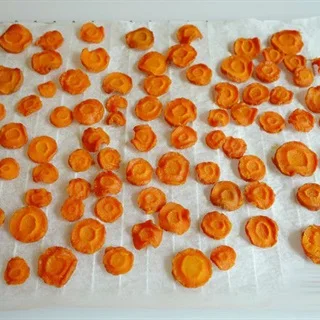 Fast Delivery Air dried carrots good quality from vietnam Whatsapp +84-845-639-639