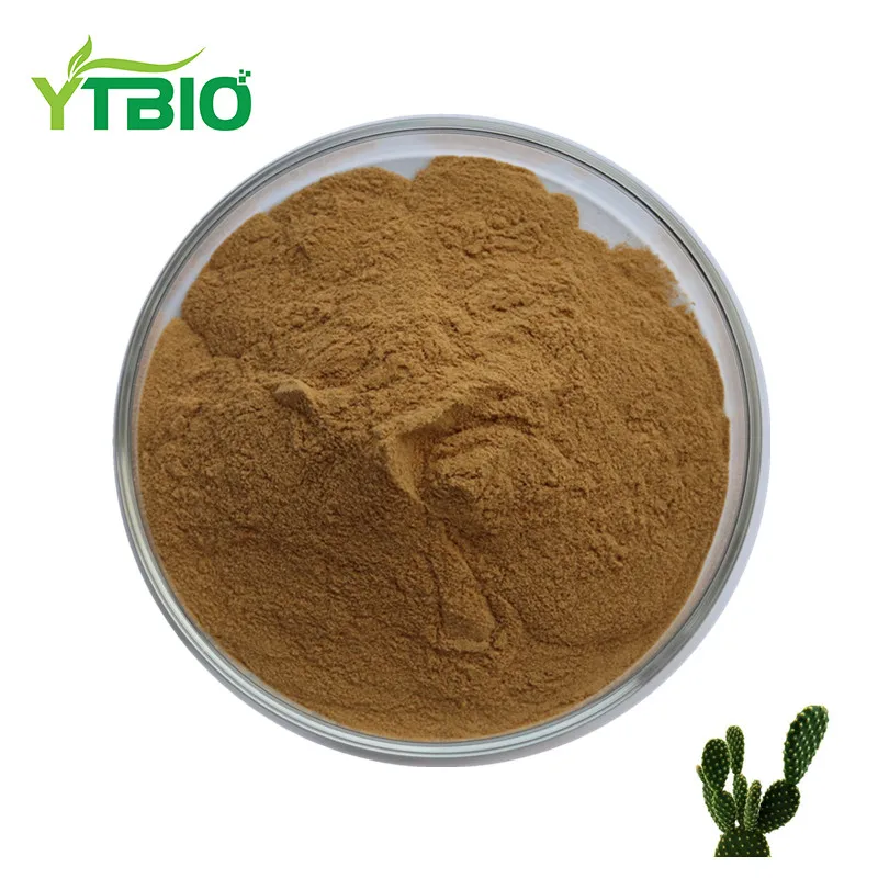 
caralluma fimbriata extract/nopal cactus powder/cactus powder 
