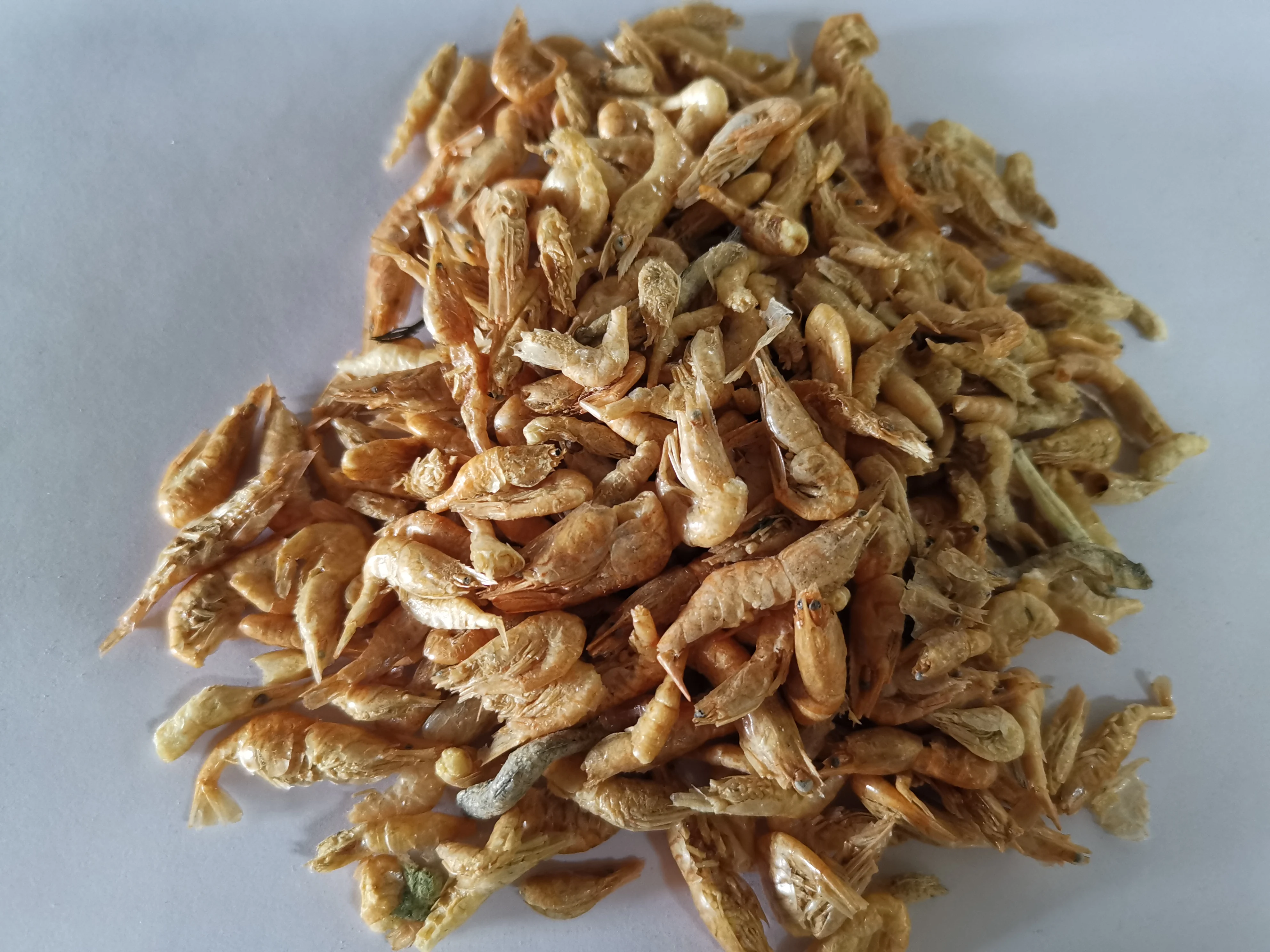 FD Red Shrimp for fish foods