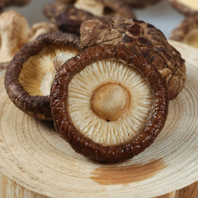 Hot Selling Chinese Agricultural Black Mushroom Bulk Dried Shiitake Mushroom