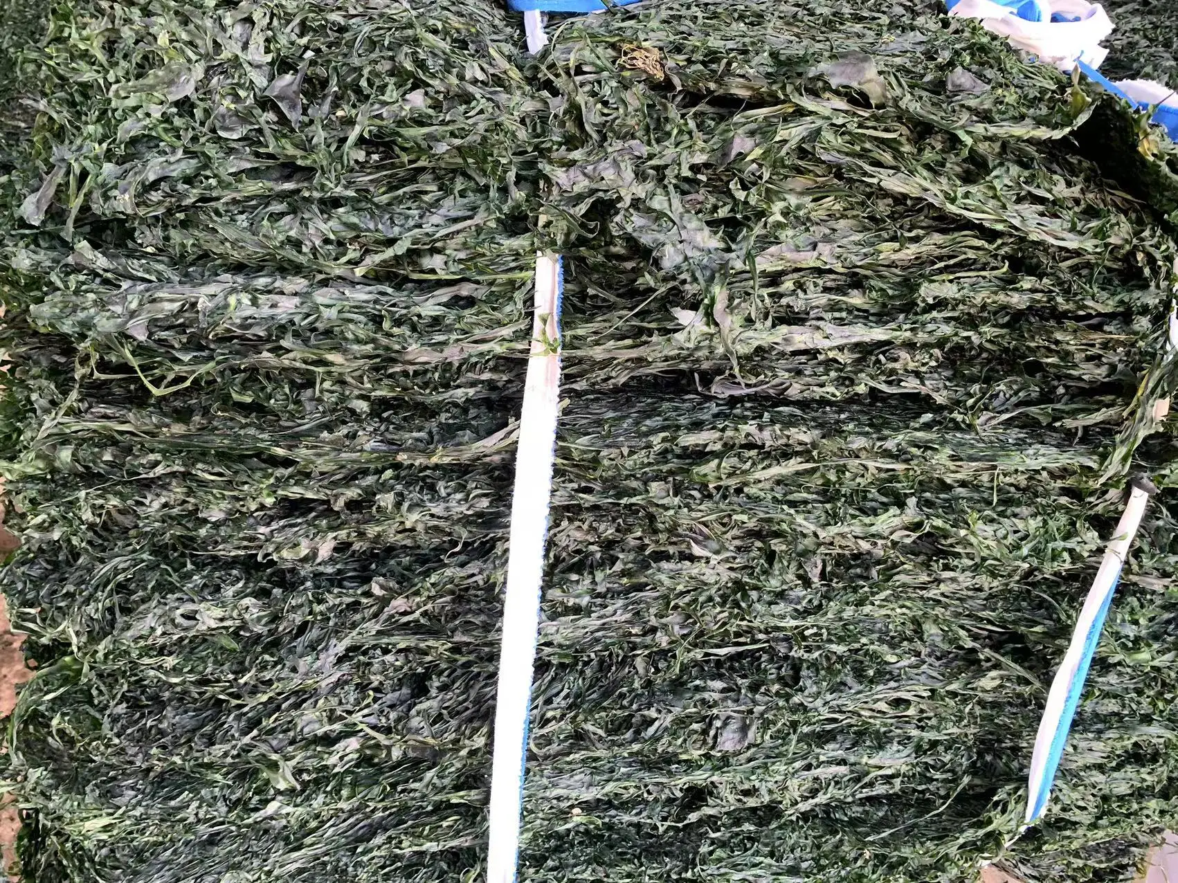 Sea Vegetable  Moss Kombu Dried Sea Kelp Cut