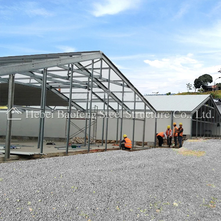 Большая куриная ферма специальный фермерский сборный стальной корпус куриный