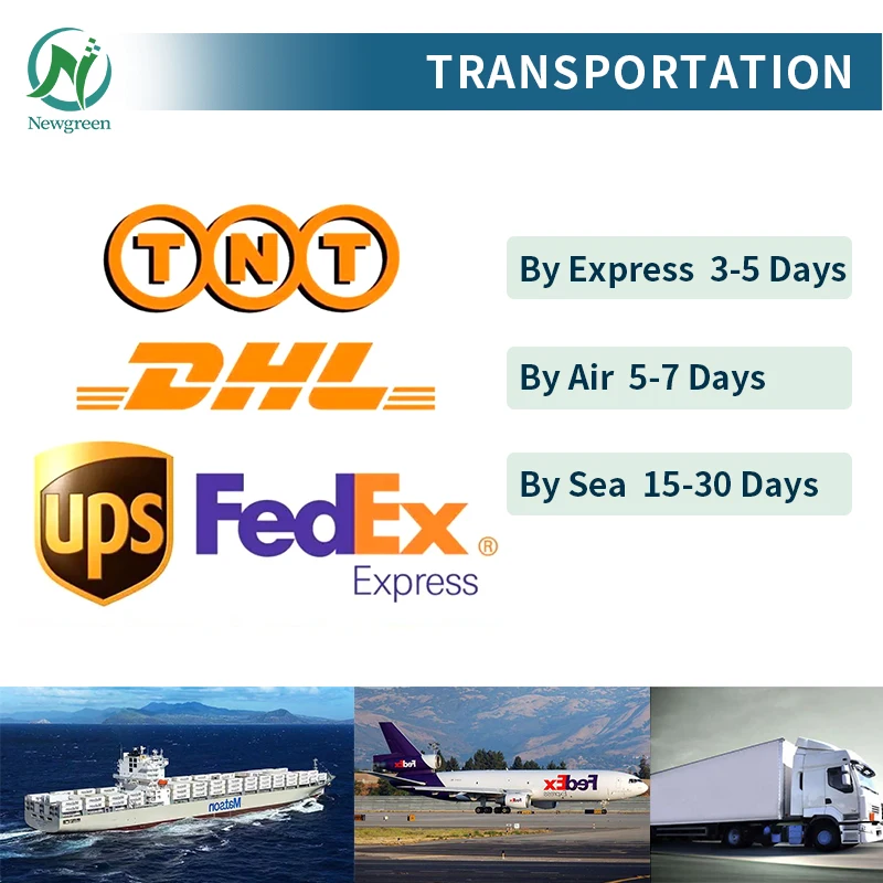 Newgreen поставка с завода натуральный экстракт рутина 98% CAS 7085-55-4