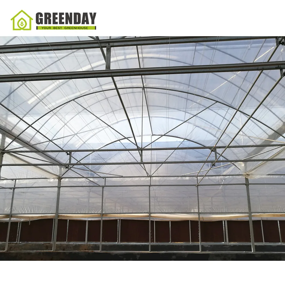 
GREENDAY Indoor hydroponics 4/8 burners CO2 generator greenhouse plant growth 