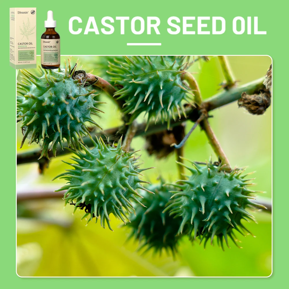 Private Label Pure Castor Oil Cold Pressed Organic Manufacturer Wholesale Black Castor Oil For Hair