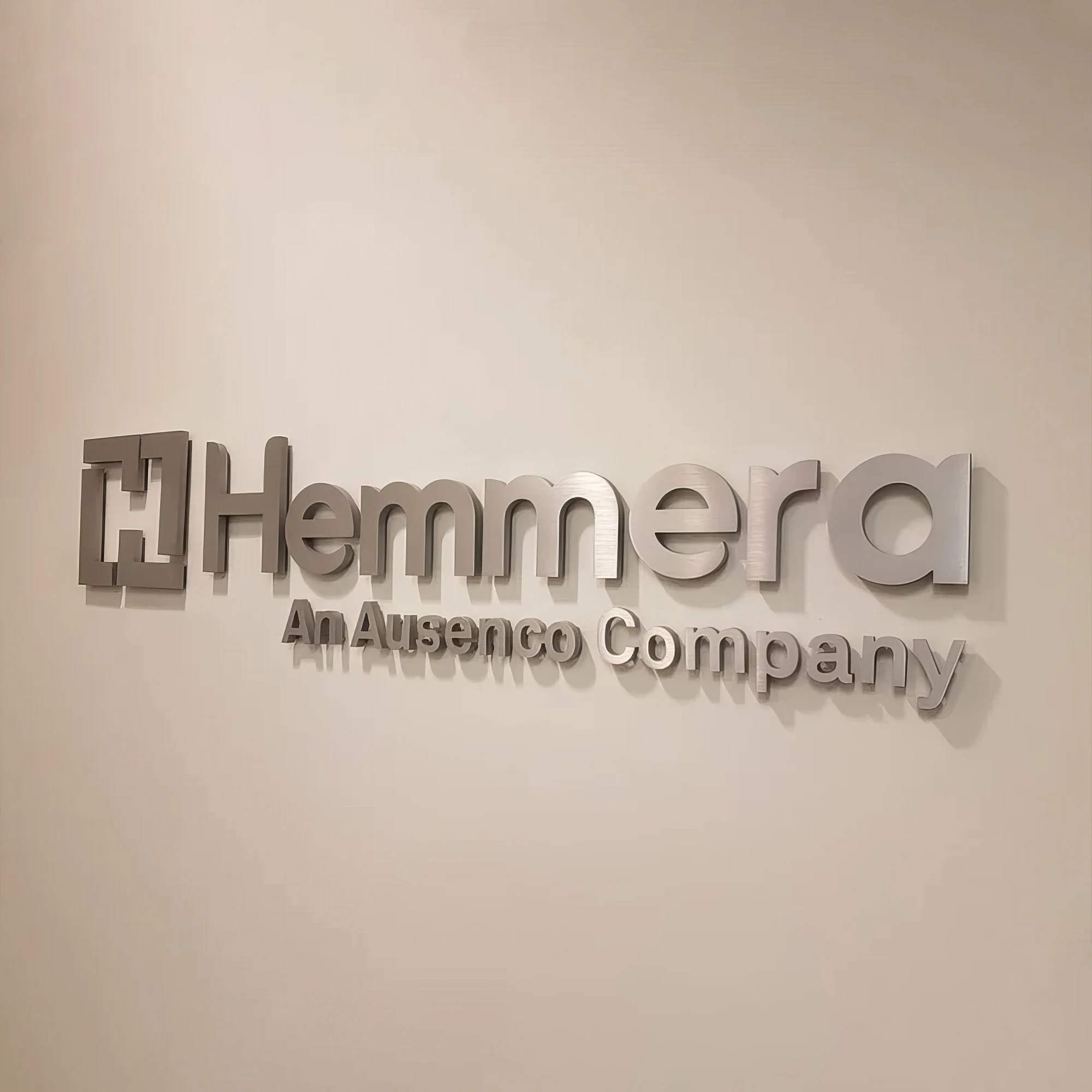 Custom Laser Cut, Sign with Raised 3D Design, Business Letter, Eye Doctor Lobby Signage, Reception Logo, Brushed Metal Logo