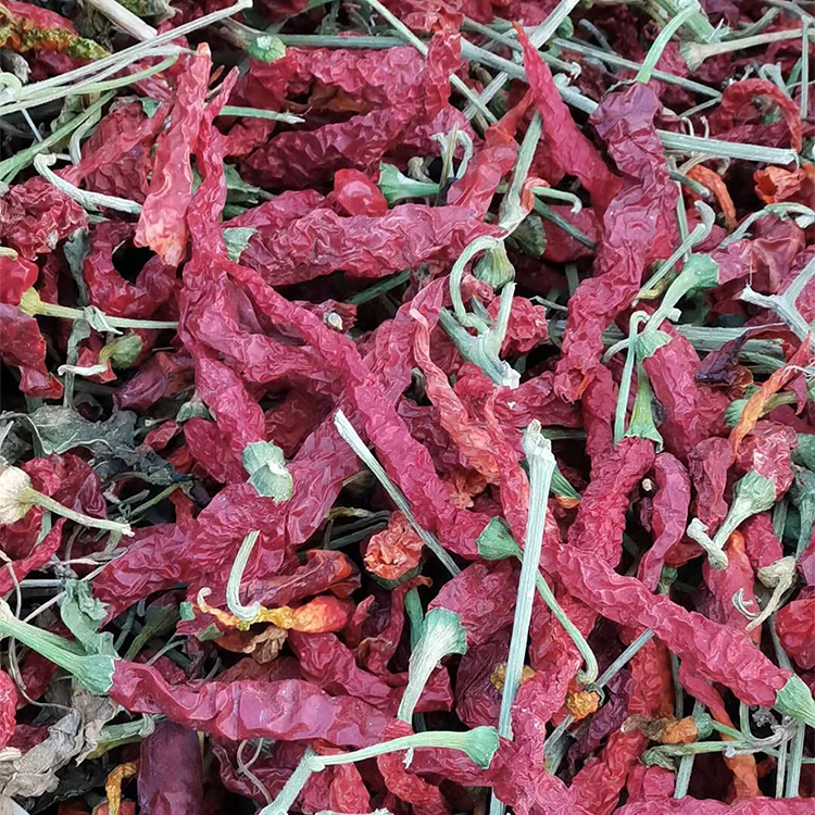 Оптовая продажа Новое поступление высокое качество Сушеный Перец