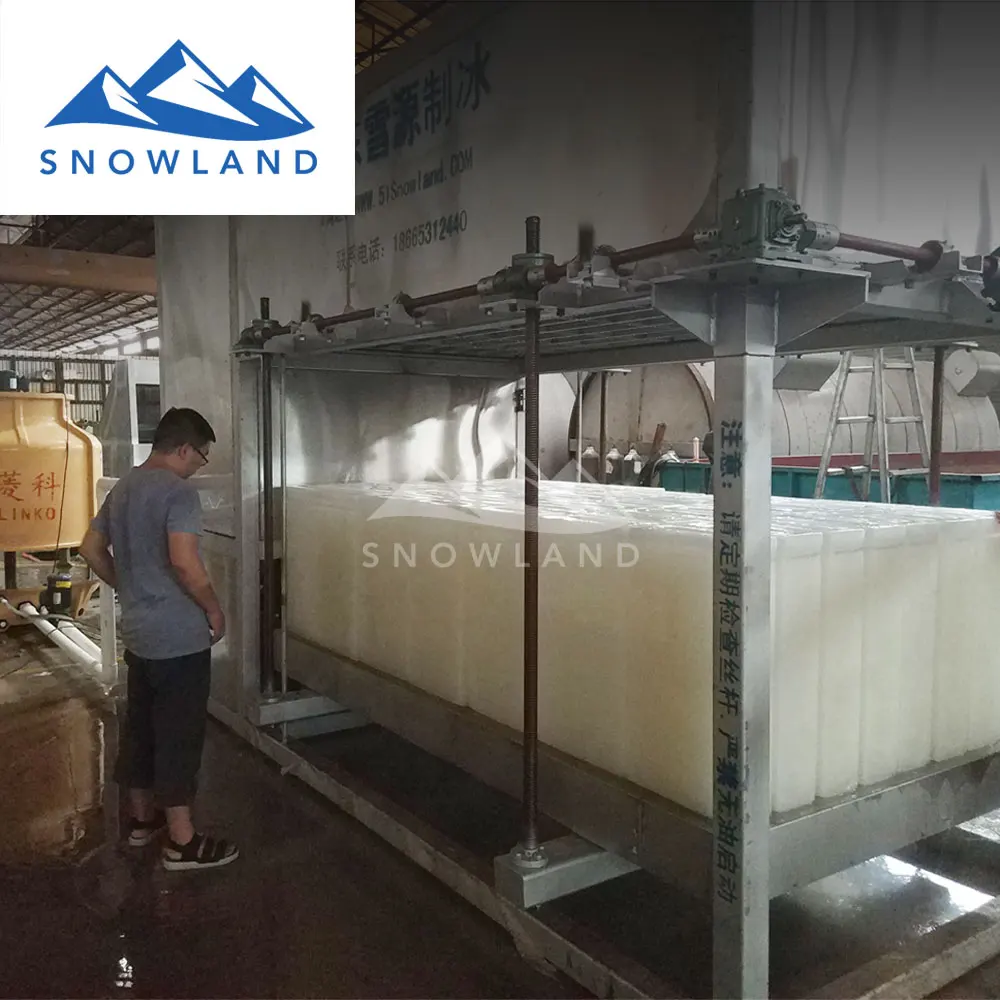 Машина для приготовления льда Египет с 8 тонн блок льда