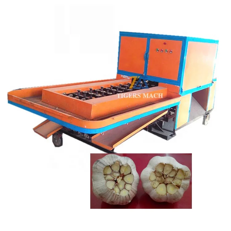 Carbon steel large scale dry garlic roots concave cutting removing machine, mass production garlic roots remover