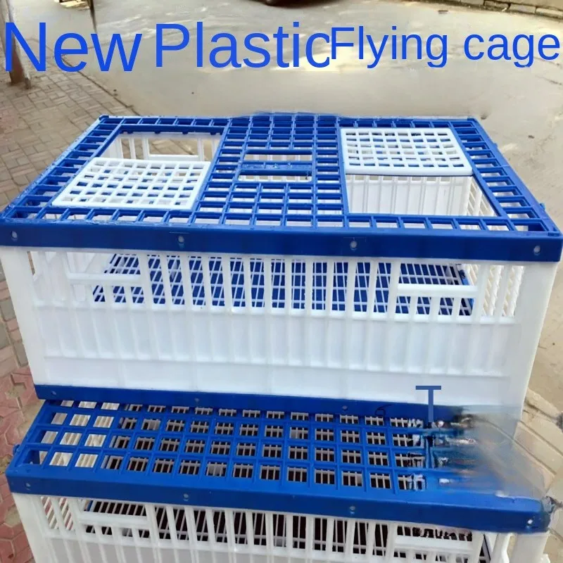Stocked Plastic Bird Houses for Sale in Pakistan Solid Pattern Acrylic Birds in Lahore
