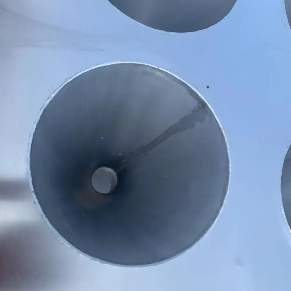 
chicken killing bleeding cone in slaughterhouse 