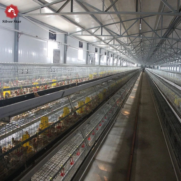 Q235 steel wire pullet chicken cage/layer cage for poultry farm