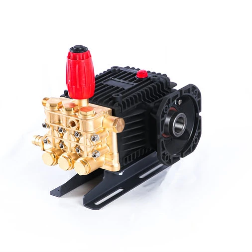 High standard hot sale classic high pressure gasoline pump high pressure cleaner pump