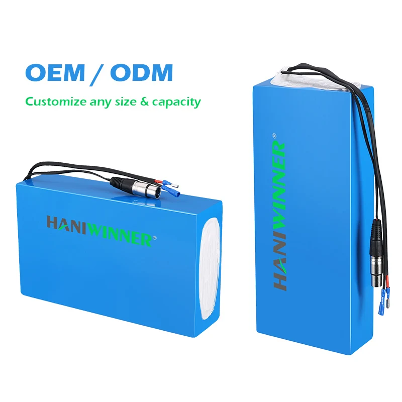 Other Electric Motorbike Batterie E Bike 12V 24V 36V 48V Integrated Lithium ion Battery Case For Bicycle Electric Motorcycle