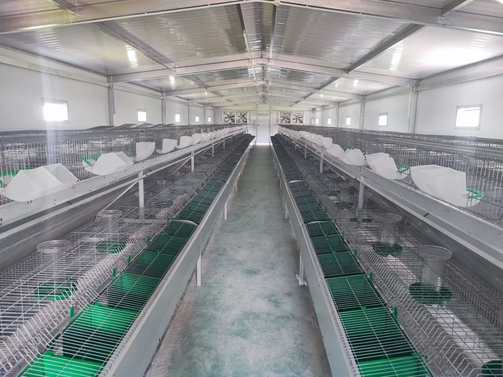 4 tiers 24 rabbits commercial price rabbit cages manufacturer