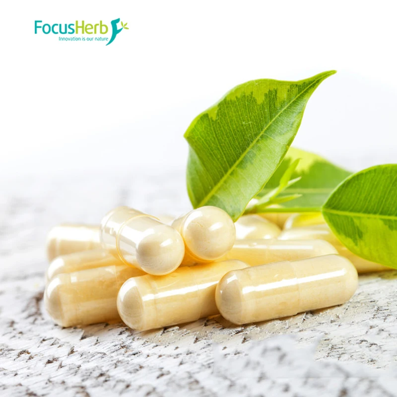 
FocusHerb Epimedium Grandiflorum Extract Horny Goat Weed Extract 