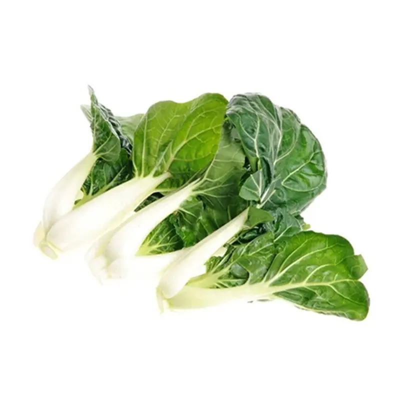 
harvester improve seedlings pakchoy Chinese vegetable cabbage seeds 1kg/bag 