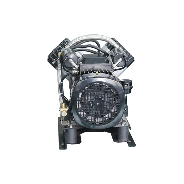 Popular 220v 50hz Medical Unit Silent oil free Motor Spare Parts Portable Mini Air Pump Compressor Head