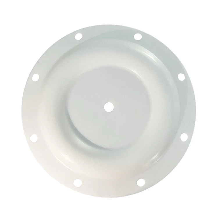 Manufacturer Pneumatic Pump Sealing Spare Parts PTFE Diaphragm for Skylink Air Operated Pump