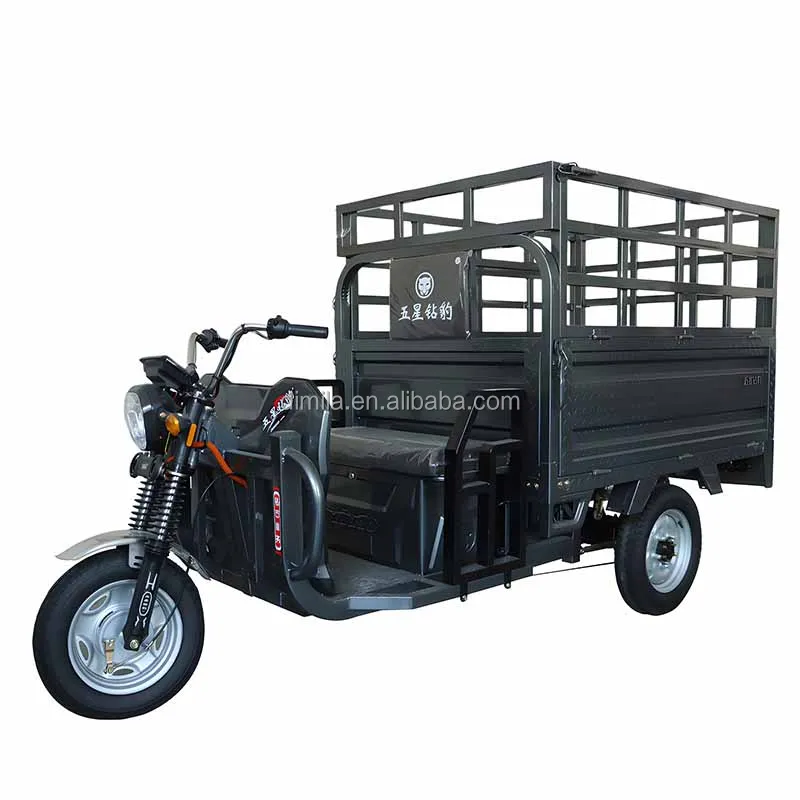 Новый дизайн Электрический грузовой трехколесный велосипед для взрослых электрический оптовая продажа хорошее качество двойные повышенные препятствия