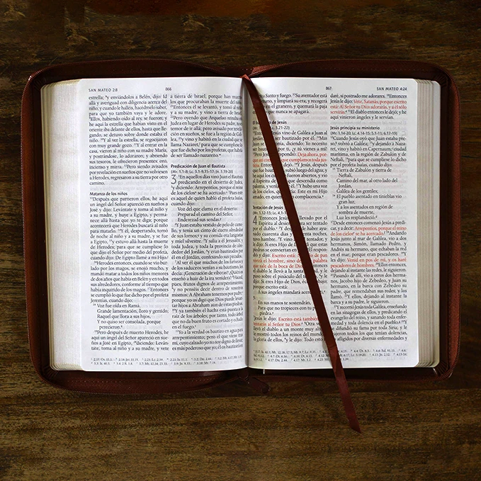 customized leather la sainte biblia libros reina valera 1960 catholic bible printing