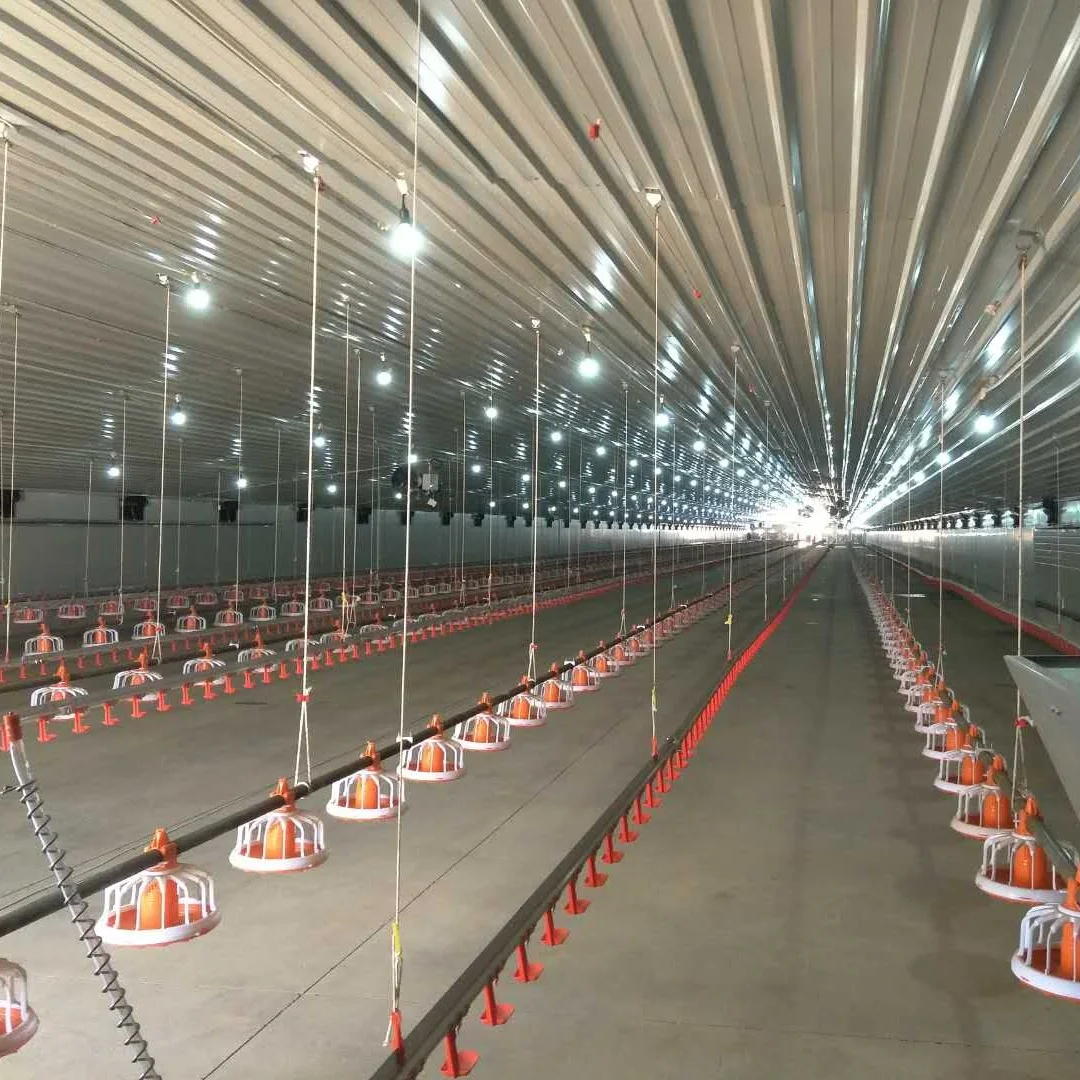 Новое дизайнерское автоматическое оборудование для кормления цыплят