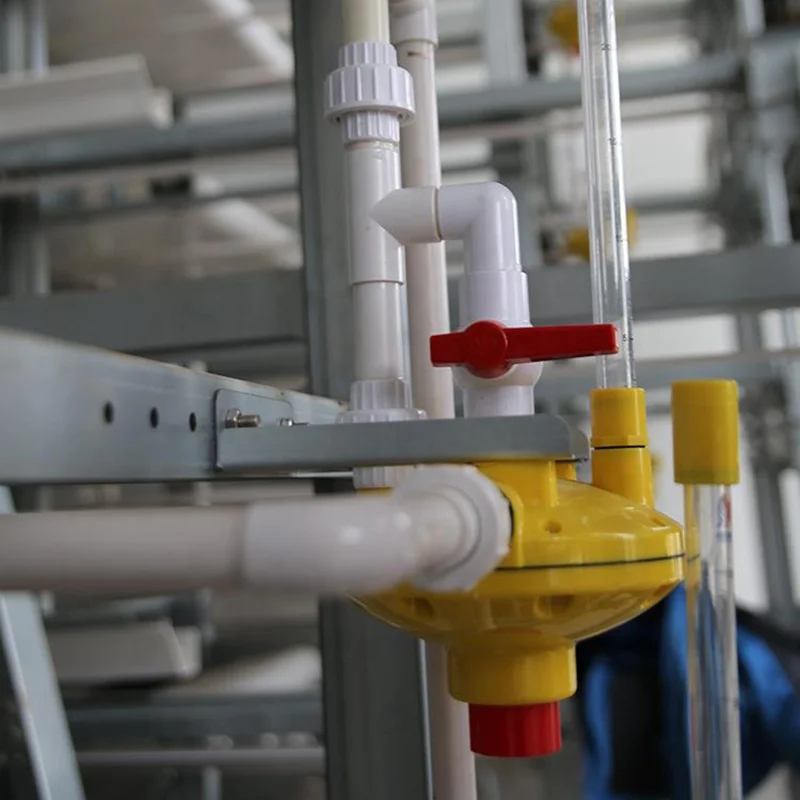 Chicken Poultry Farm Equipment Poultry Equipment For Broiler Farms Poultry Equipment Chicken Farming