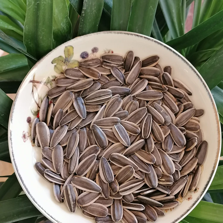 
In stock original flavor sunflower seeds manufacturers sunflower seed for sale 