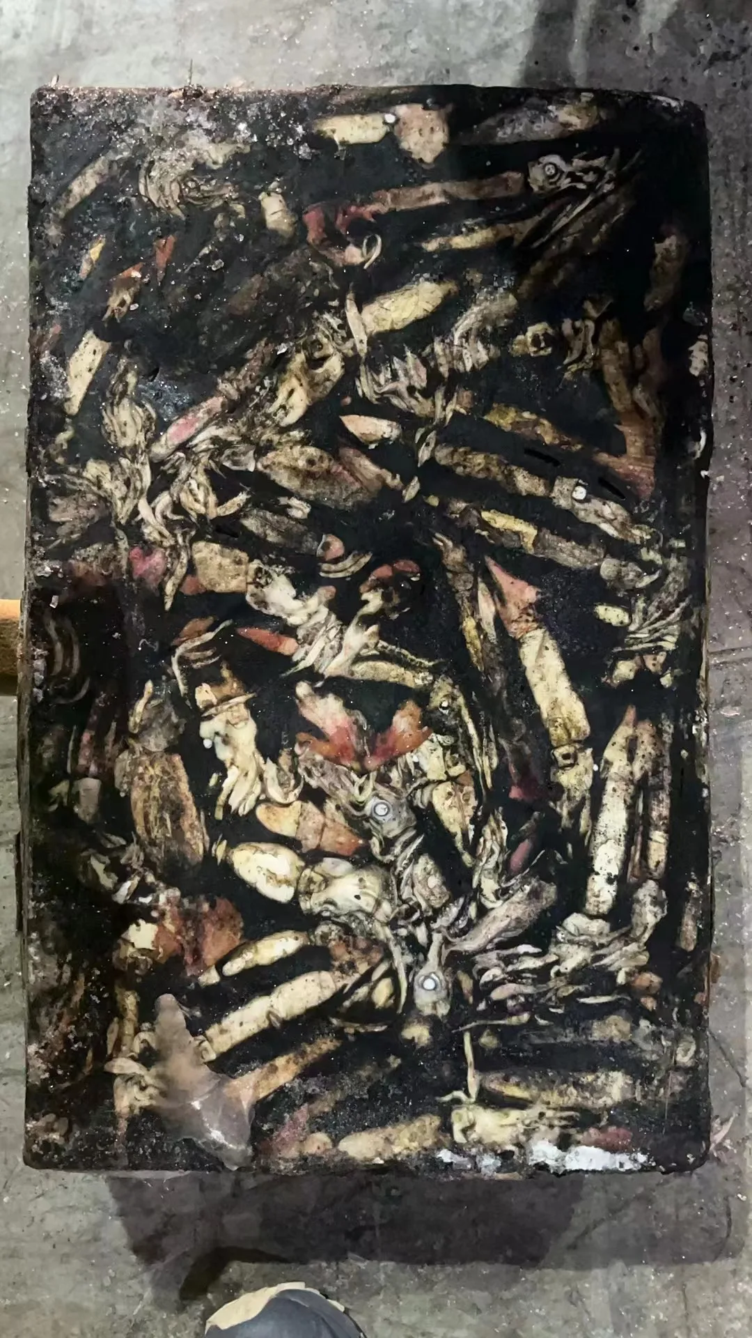 Wholesale Dried Rod Yo-zuri Yamashita Calamari Kalamar Fish Frozen Fishing Lures Bait Black Squid