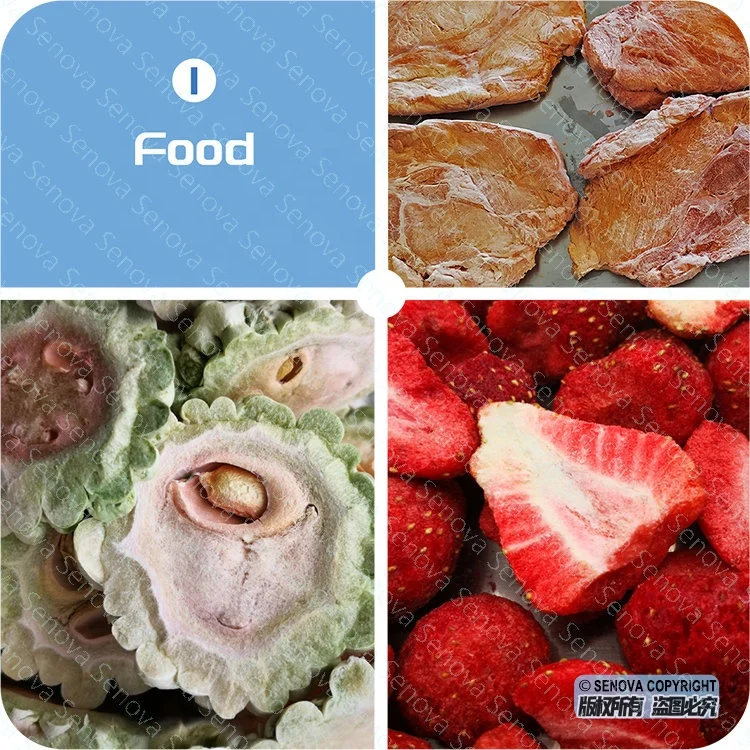 FD Food Okra Broccoli Spinach Potato Green Pea Mushroom Coffee Juice Liquid Powder Vacuum Freeze Dryer