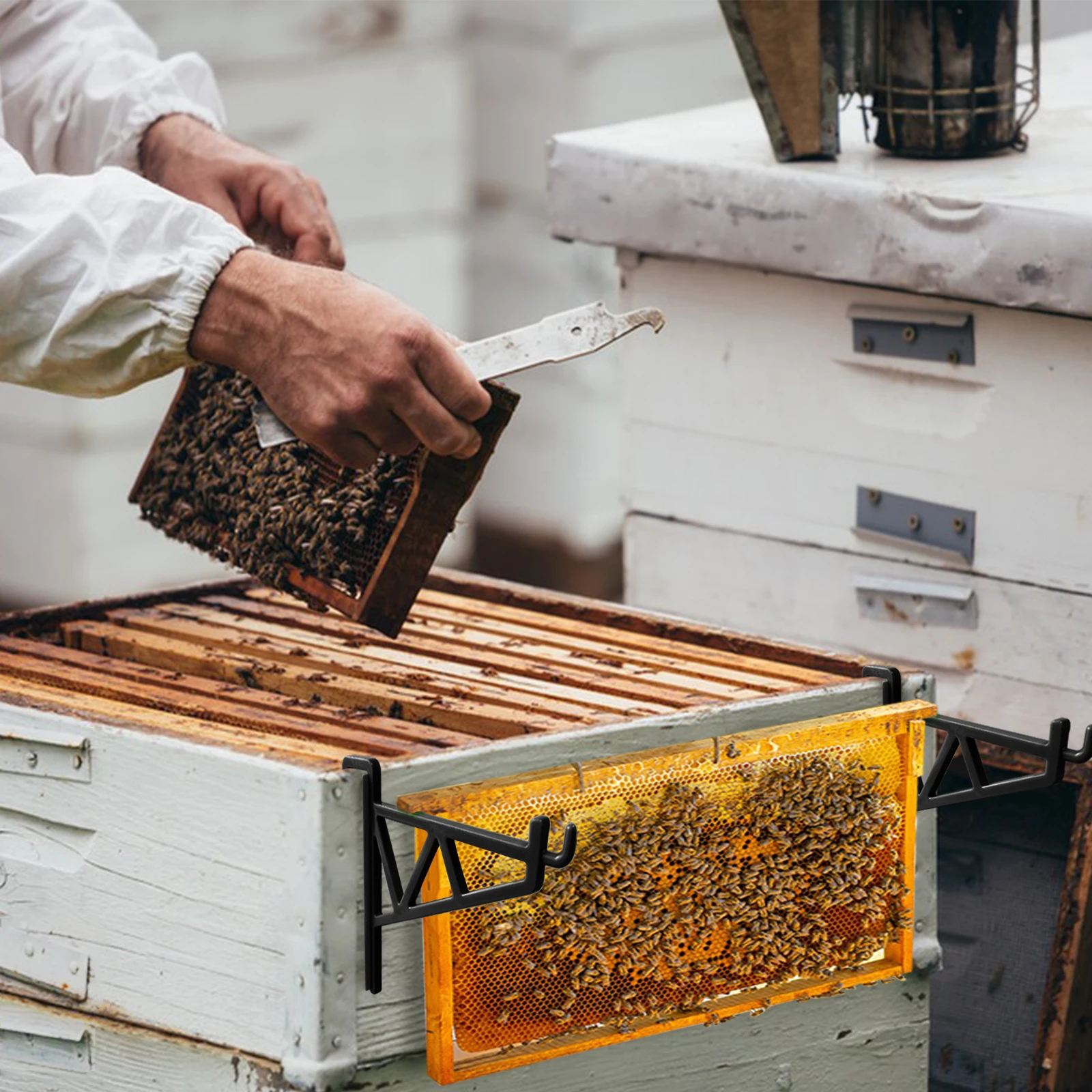 CHINABEES NewPlastic Beehive Frame Perch Holder Beekeeping Perch Stand Support Bracket Rack Bee Hive Perch Side Mount T