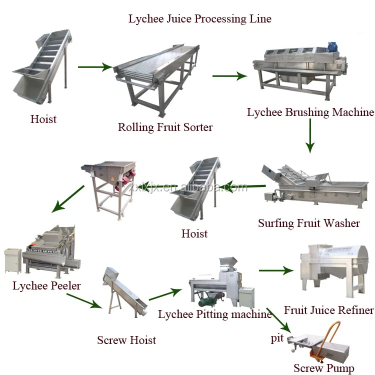 Automatic Lychee processing line, Peeling Machine/Lychee Peeler/ Lychee peel removing machine