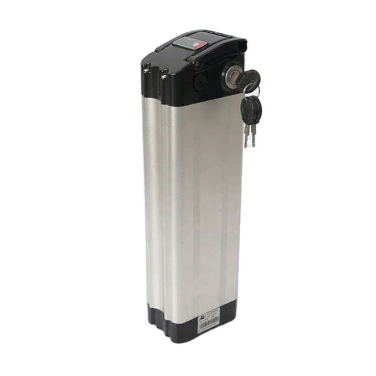 Powerful Li Ion Battery Pack 24v 36v 10ah 12ah 20ah Rechargeable Electric Bike Battery Silver Fish