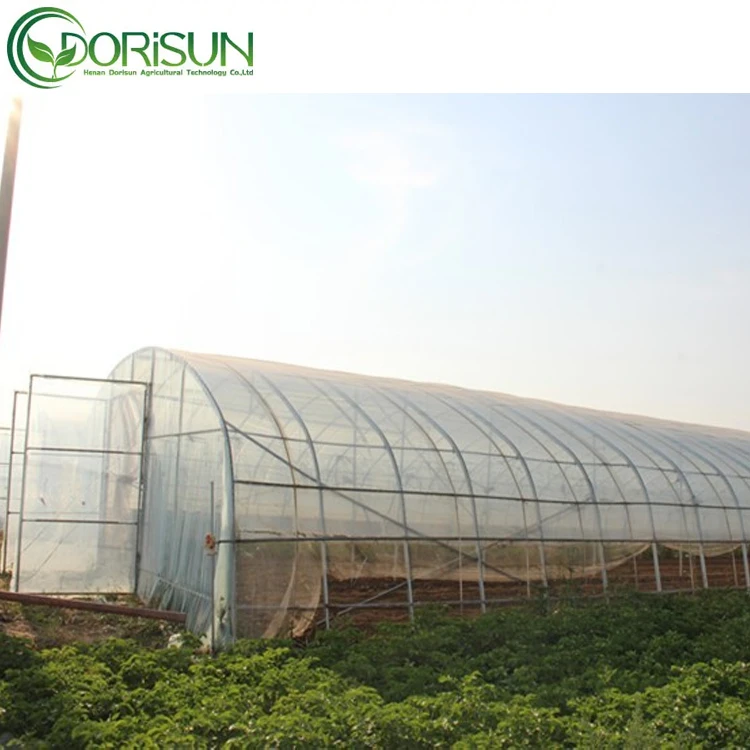 8x30m Agriculture Tomato Greenhouse Frames Plastic Film Single Span Tunnel Greenhouses