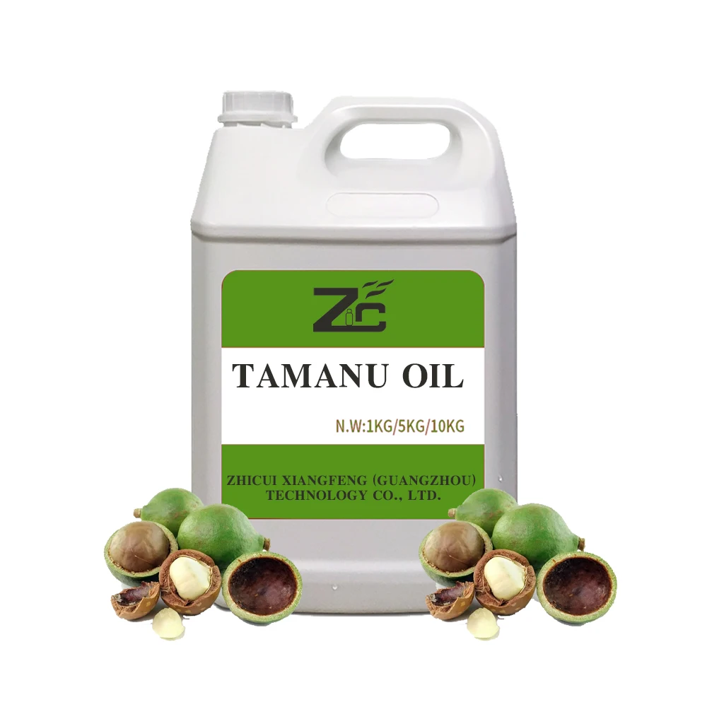 Wholesale 100% Pure Essential Organic Tamanu Oil Cold Pressed Bulk Tamanu Seed Oil for Cosmetic Industries