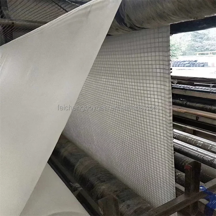 Factory geotextile 300g Composite polyester Geogrid 100kn for retaining wall