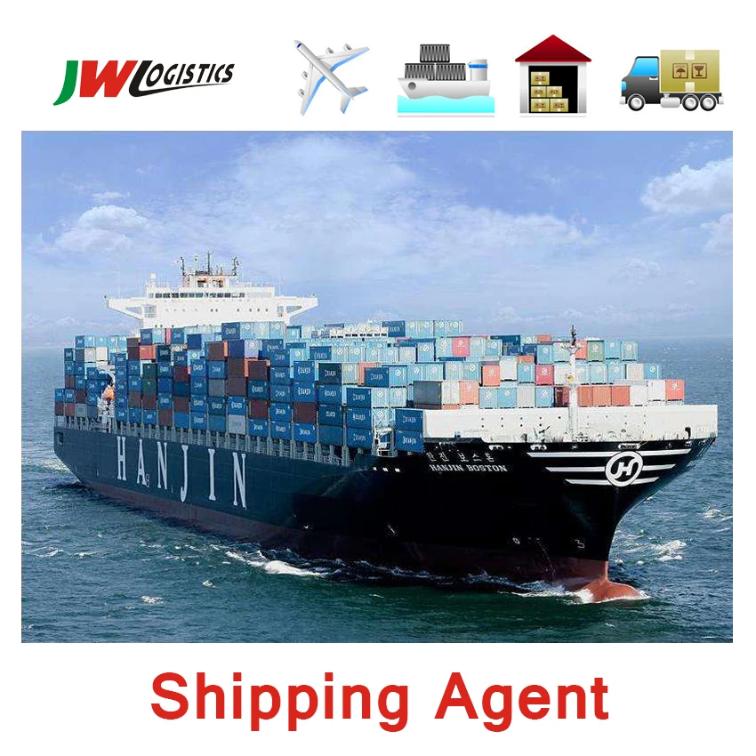 International Logistics Sea Freight To Egypt Sea Freight To Egypt From Door To Door