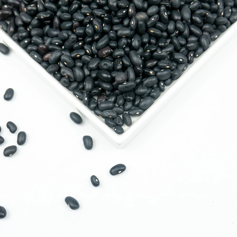 
new crop premium grade china black beans 