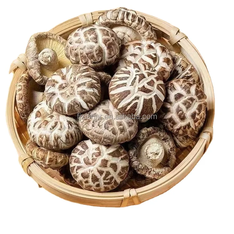 Wholesale Forest Mushroom Organic Dried Shiitake Mushroom Best Dried Shiitake Mushroom