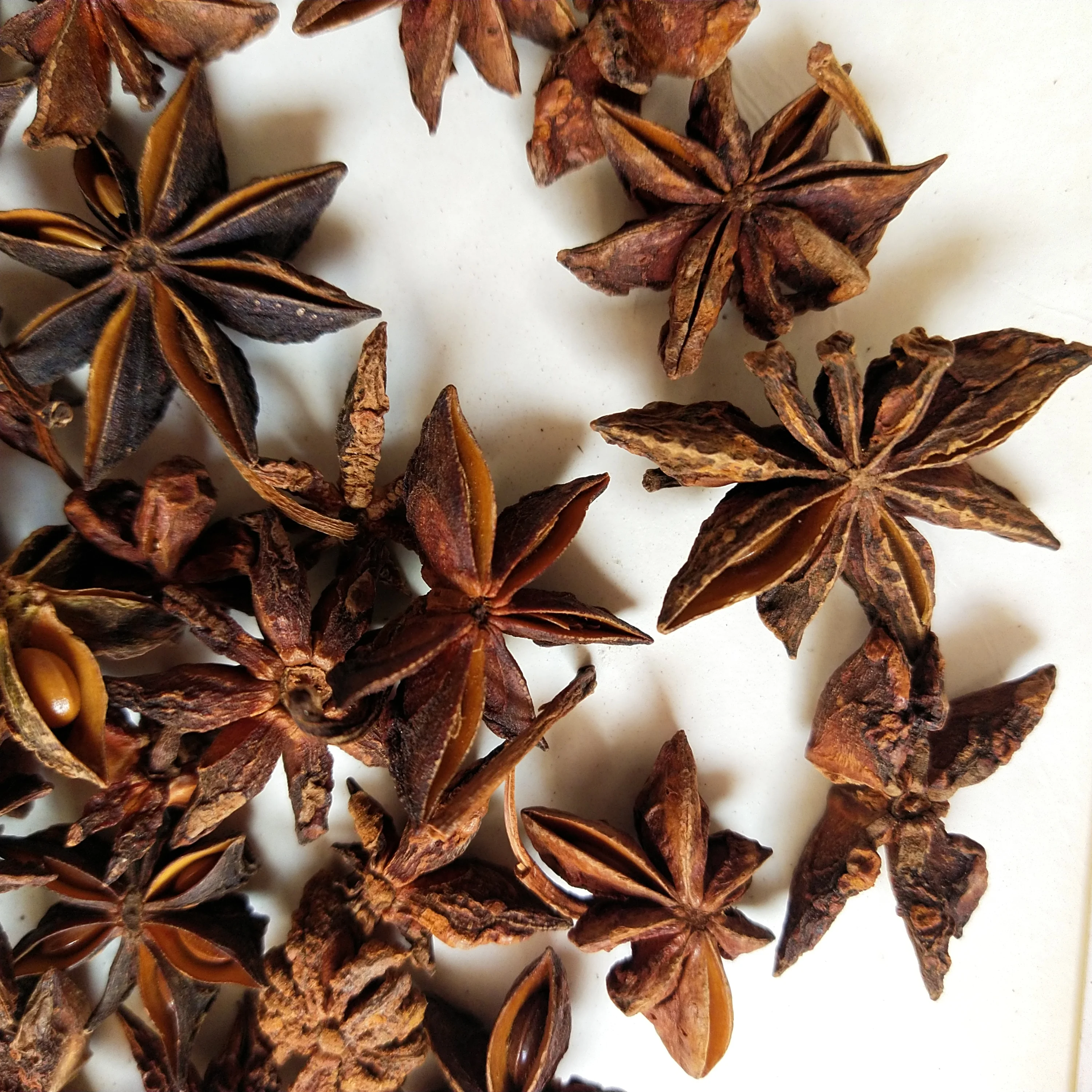 
ANISEED Star Anise seed fruits unselected Fructus Anisi Stellati 