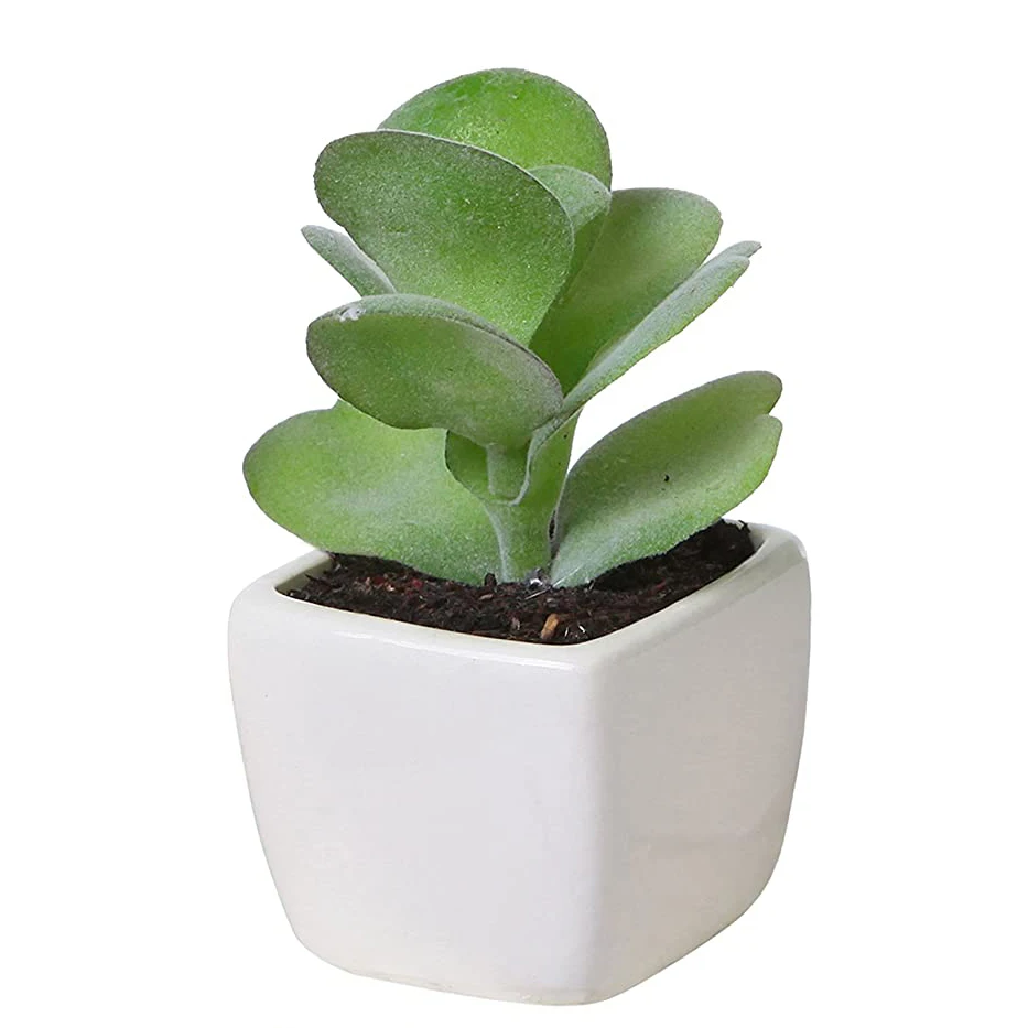 top seller artificial plants plastic succulent plant faux aloe mini small  bonsai in pot for office