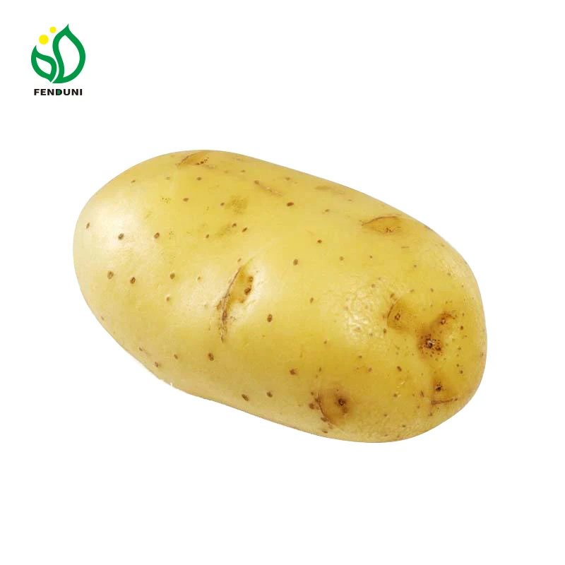 Russet potato exporter in China potato price for sale $200.00-$300.00 /Ton