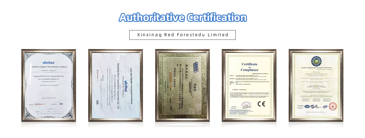 Company information-6.png